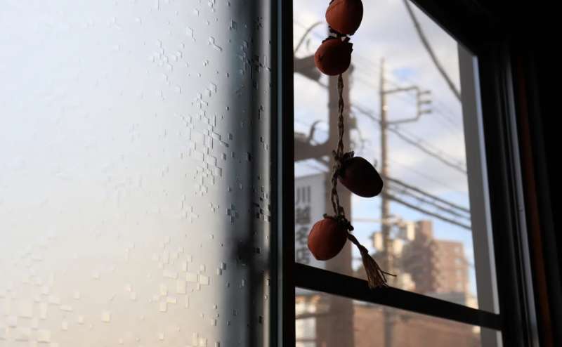 秋〜冬の昭和といえば窓に干し柿。昭和の原風景をお楽しみください