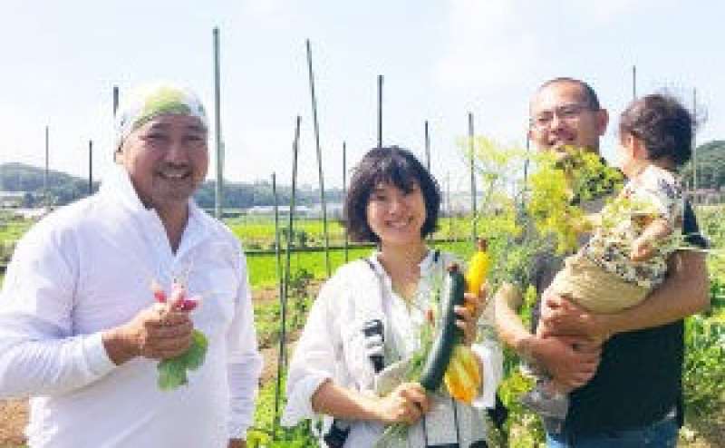 アトリエキッチン鎌倉では、無農薬野菜の菜園も経営しています