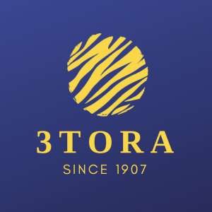 3TORA Inc.